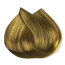 Professional Hair Color Bundle by ColorNue