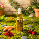 AGE REVERSE FACE OIL - Cold Infusion Method - Meshay Care